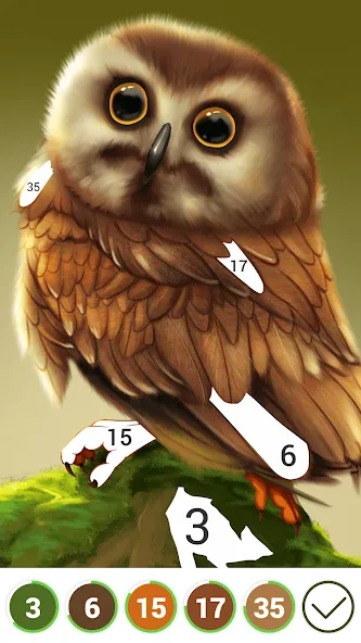 Hola Color--Coloring by Number (ола калор)  [МОД Бесконечные деньги] Screenshot 3