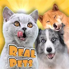 Взломанная Adopt a pet : Corgi Games (Риал Петс бай Фруви)  [МОД Меню] - последняя версия apk на Андроид