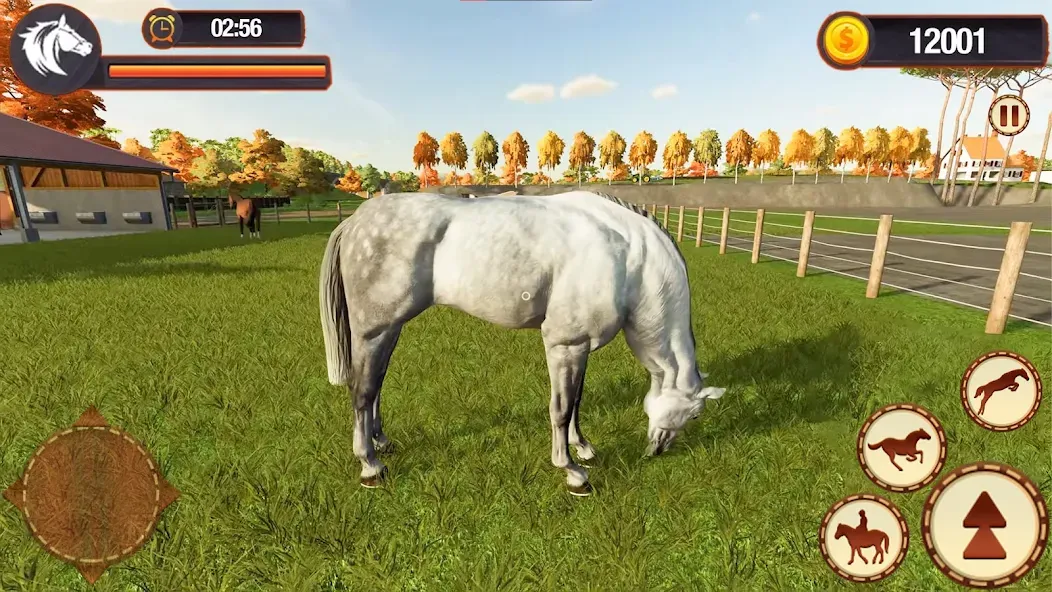 My Horse Herd Care Simulator (Мой симулятор ухода за стадом лошадей)  [МОД Много монет] Screenshot 5